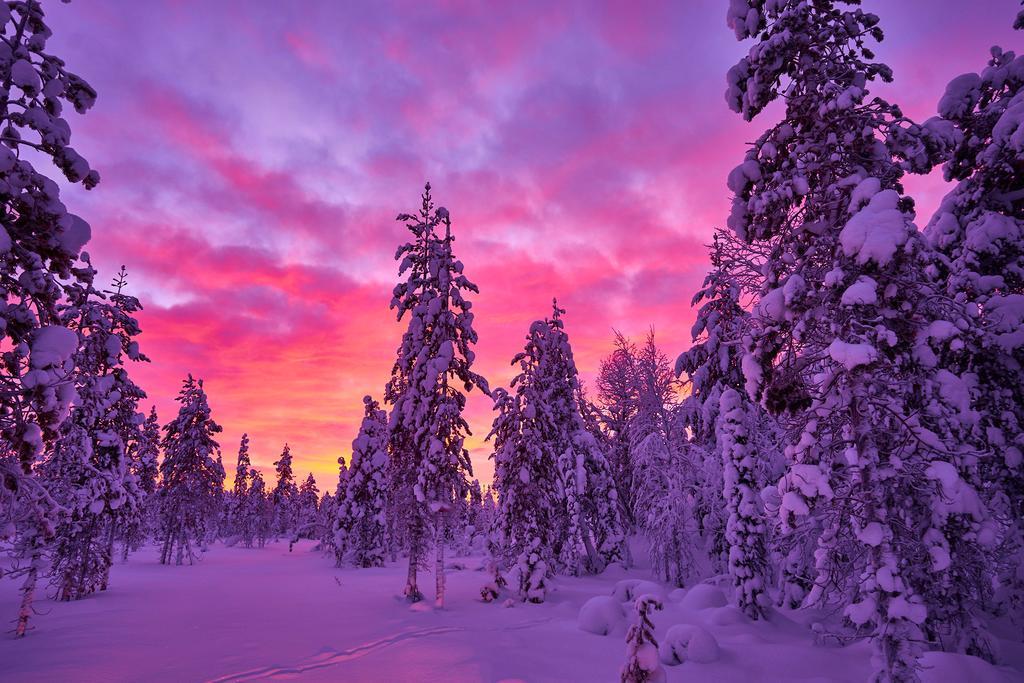 Lapland Guesthouse Kangos Экстерьер фото