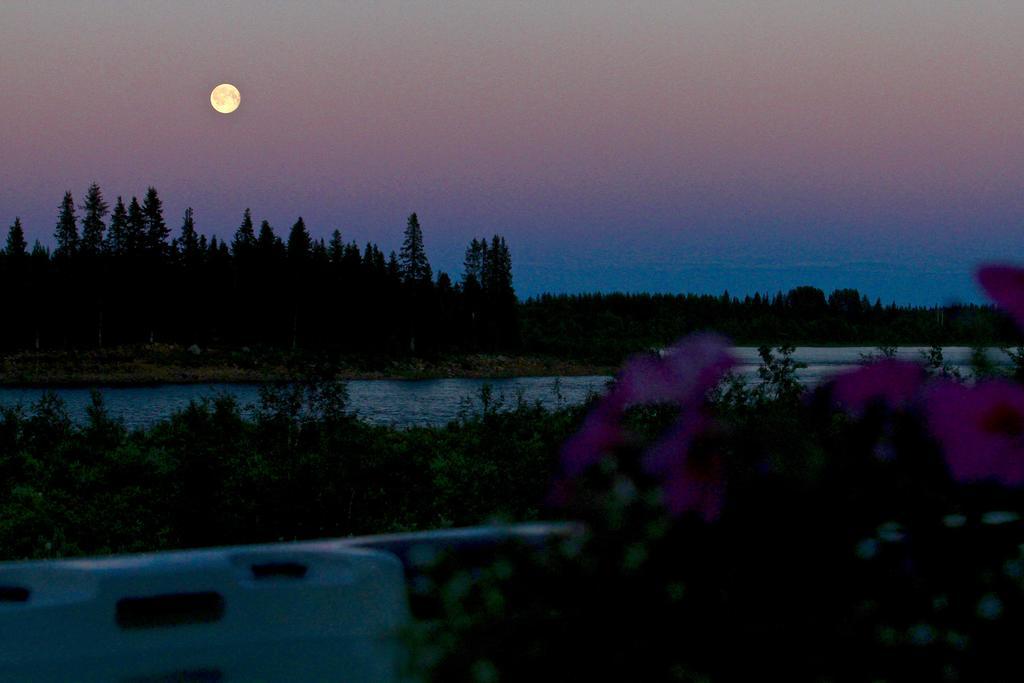 Lapland Guesthouse Kangos Экстерьер фото
